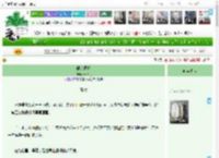 《曙光微亮》陳拾贝　^第64章^ 最新更新:2025-04-21 15:14:07 晋江文学城